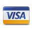 Visa card icon